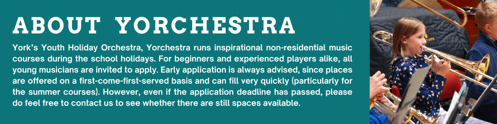 Details about Yorchestra